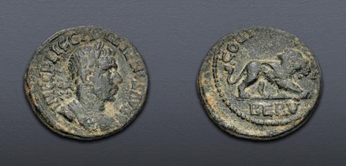 Lot 558 image
