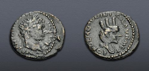 Lot 606 image