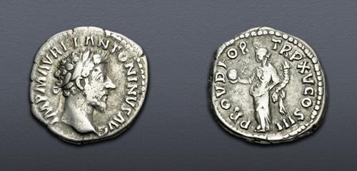 Lot 719 image