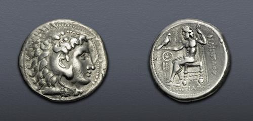 Lot 7 image