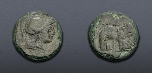 Lot 15 image