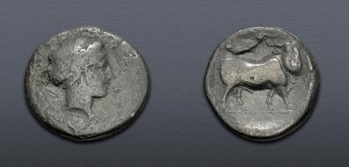 Lot 16 image