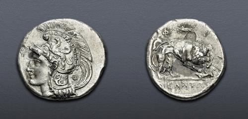Lot 24 image