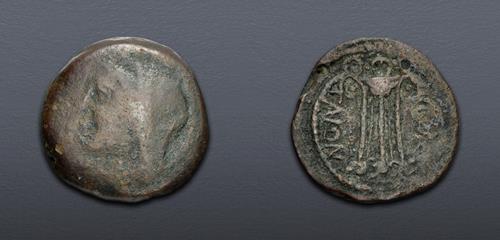 Lot 35 image
