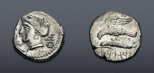 Lot 311 image