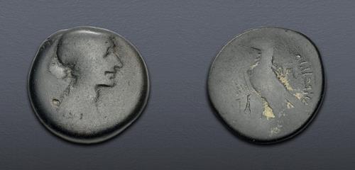 Lot 443 image