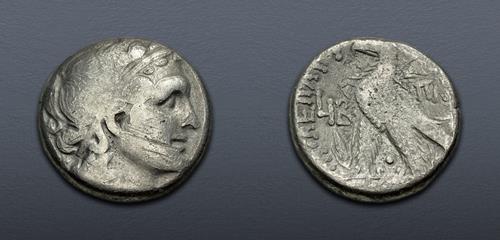 Lot 445 image