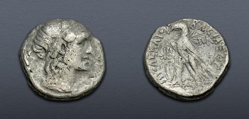 Lot 446 image