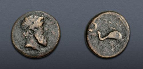 Lot 490 image