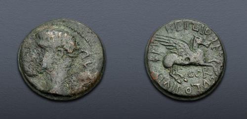 Lot 491 image