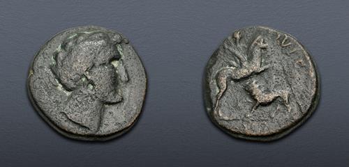 Lot 493 image