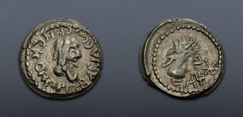 Lot 495 image