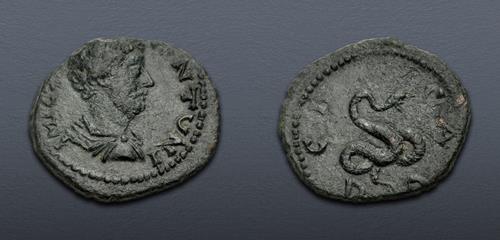 Lot 500 image