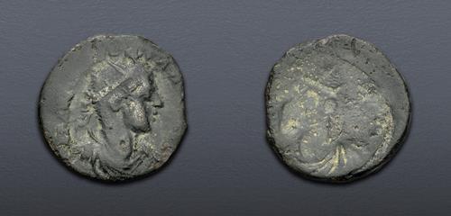 Lot 503 image