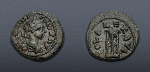 Lot 504 image
