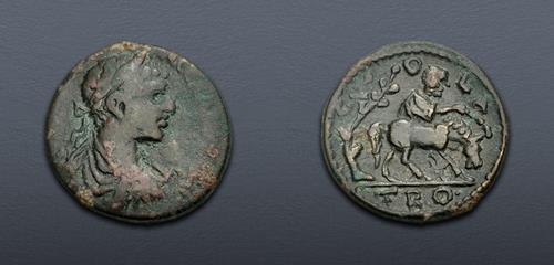 Lot 505 image