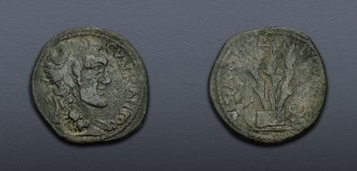 Lot 508 image