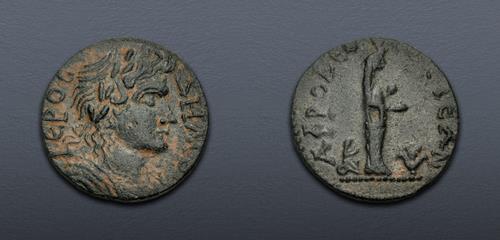 Lot 509 image