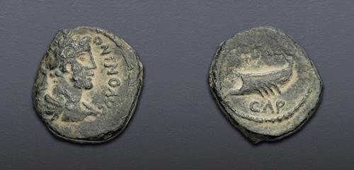 Lot 550 image