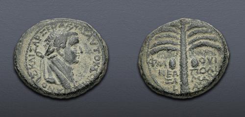 Lot 551 image
