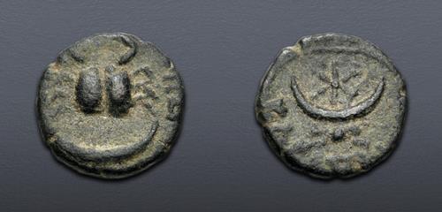 Lot 553 image
