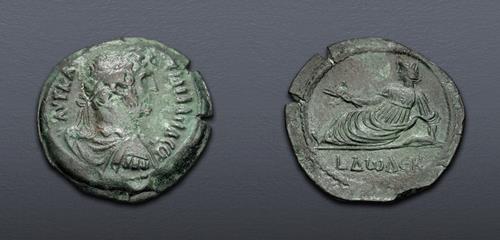 Lot 555 image