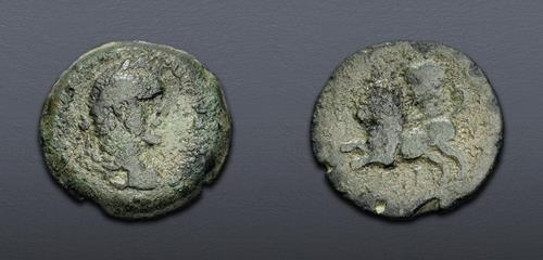 Lot 557 image