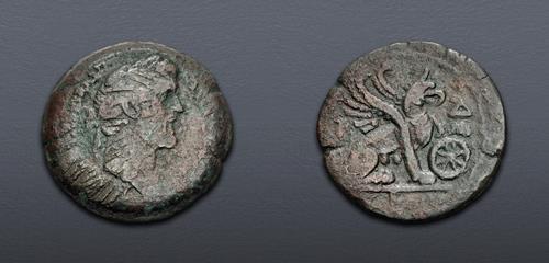 Lot 559 image