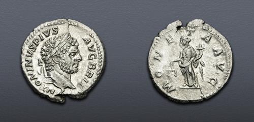 Lot 716 image