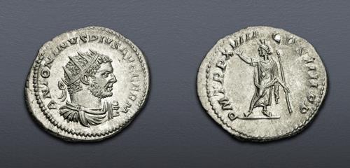 Lot 720 image