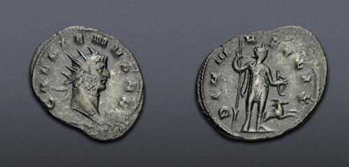 Lot 770 image
