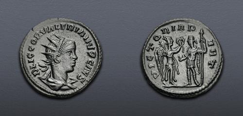 Lot 774 image