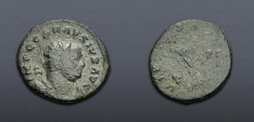 Lot 791 image