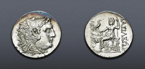 Lot 13 image
