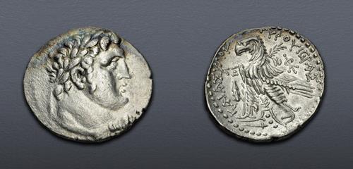 Lot 66 image