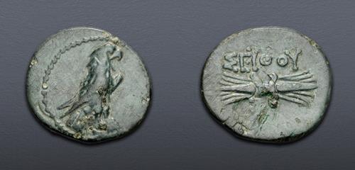 Lot 181 image