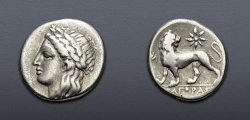 Lot 317 image