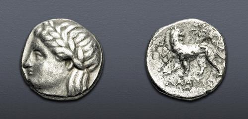 Lot 319 image