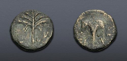 Lot 431 image