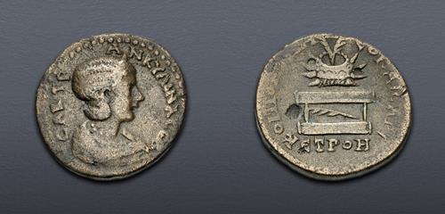 Lot 486 image