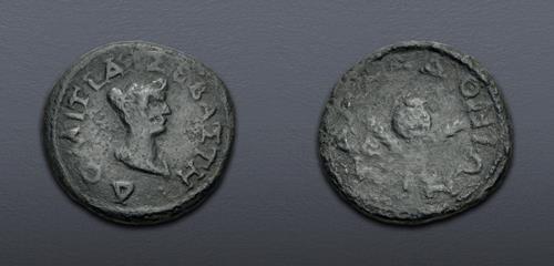 Lot 488 image