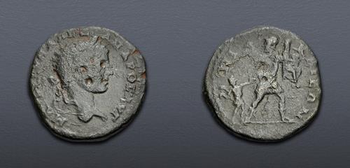 Lot 491 image