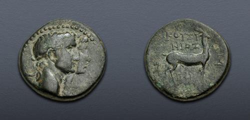 Lot 500 image