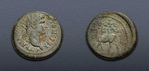 Lot 502 image