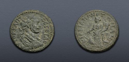 Lot 507 image