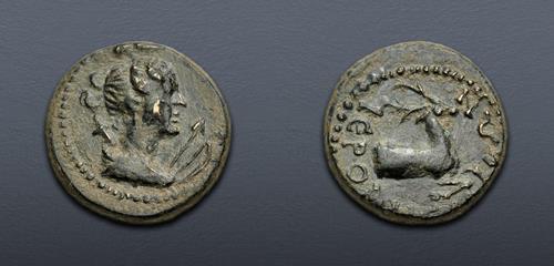 Lot 508 image