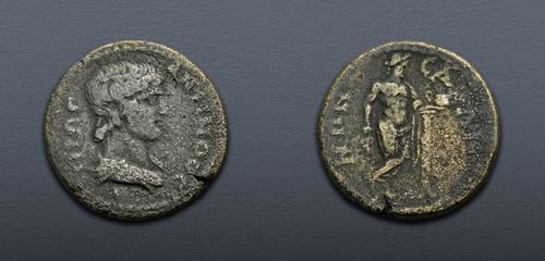 Lot 511 image