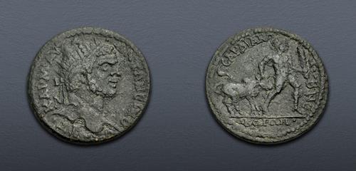 Lot 513 image