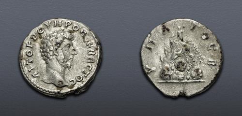 Lot 557 image