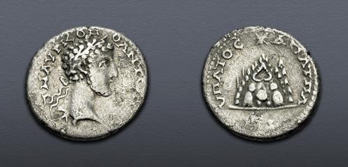 Lot 558 image